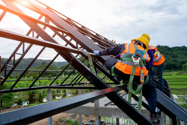 Best Local Roofing Companies  in Dowagiac, MI