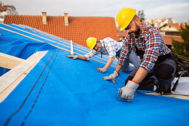 Best Slate Roofing Contractor  in Dowagiac, MI