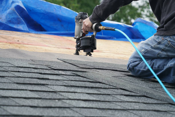Best Roof Repair Services  in Dowagiac, MI
