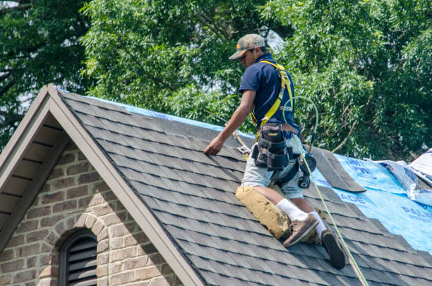 Best Roof Gutter Cleaning  in Dowagiac, MI